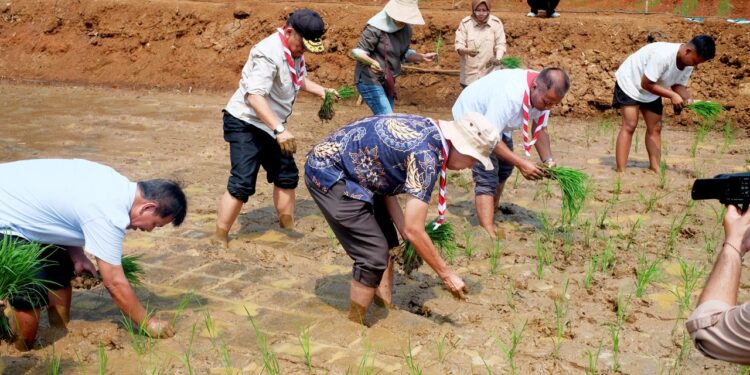 Gerakan Pramuka Tanam Padi Perdana Dukung Swasembada Pangan