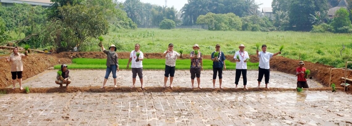 Foto dalam berita Gerakan Pramuka Tanam Padi Perdana Dukung Swasembada Pangan